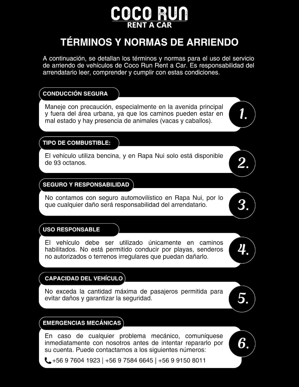 Terminos 1